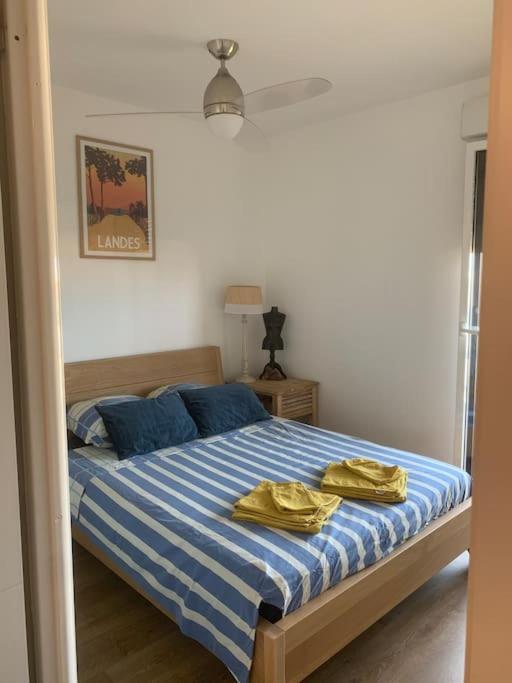 Appartement Plage En Residence Entier 2 Chambres กัปเบรอตง ภายนอก รูปภาพ
